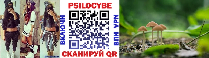 наркота  МЕГА маркетплейс  darknet состав  Буй  Галлюциногенные грибы мицелий 