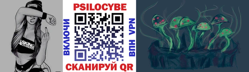 Галлюциногенные грибы Psilocybine cubensis Буй